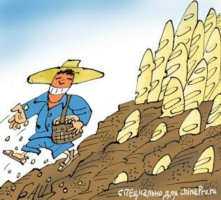 Правительство Китая одобрило план по увеличению производства зерна )