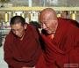 Тибет. Том 4